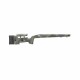 Bergara culata wilderness HMR (LA)