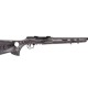 Carabina semiautomática SAVAGE A22 Target Thumbhole - 22 LR