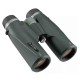 Prismáticos ALPEN OPTICS Teton 10x42 con prismas de Abbe / cristal ED