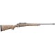 Rifle de cerrojo RUGER FTW Hawkeye Hunter