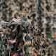 Tela camo 3d