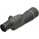 Telescopio LEUPOLD Gold Ring 15-30x50 Compact
