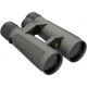 Prismático LEUPOLD BX-5 Santiam HD - 10x50