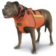 Chaleco antijabali BulWark Elite tallas pequeñas