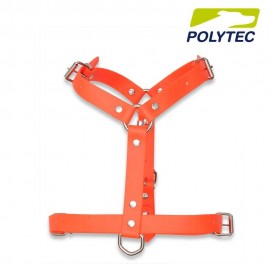 Arnés ajustable Arcea Polytec 25mm
