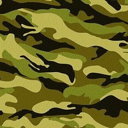 Camuflaje