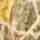 Camo Realtree