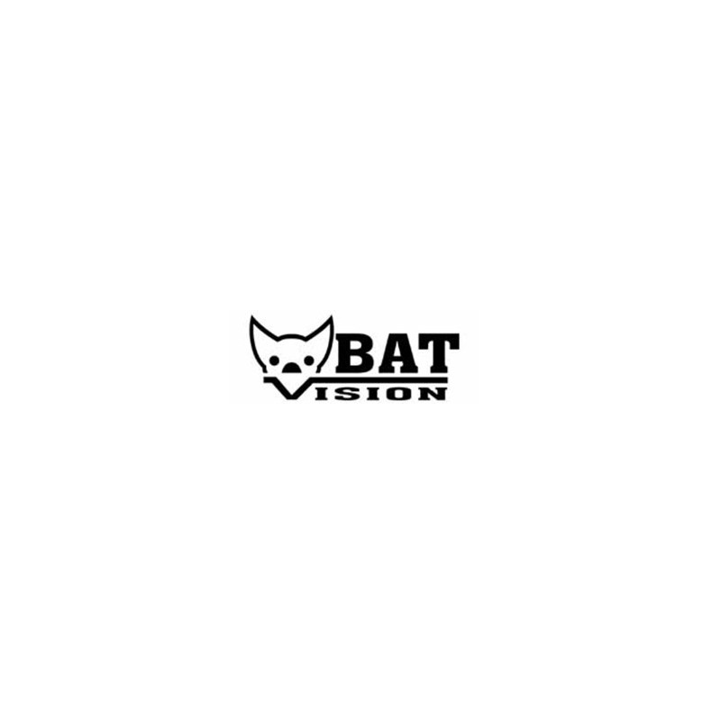 Bat Vision